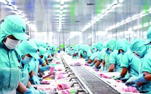 Vực dậy xuất khẩu nông sản