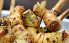 Loại củ thường vứt trong xó bếp không ngờ chữa được đủ bệnh, đặc biệt là dạ dày và xương khớp