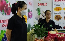 Việt Nam nhập từ Ấn Độ loại rau, quả nào nhiều nhất?