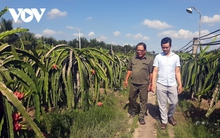 Nước mặn tăng bất thường, người dân Tiền Giang chưa xuống giống vụ mùa