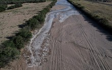 Sát thủ thầm lặng khiến thế giới mất hàng ngàn tỉ USD