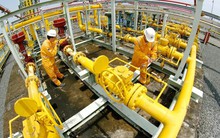 PVN: Muốn dừng, giảm cấp khí Đạm Phú Mỹ và Đạm Cà Mau phải được Đại hội đồng cổ đông thông qua