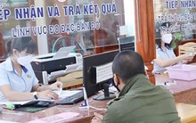 Kỷ luật Giám đốc Công ty TNHH MTV cao su Bình Phước