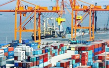 Hàng container qua cảng biển tăng gần gấp đôi sau 7 năm