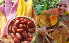 Sáng tạo ra đĩa lá ép, cô gái chẳng ngờ 'cháy hàng' không đủ để xuất khẩu