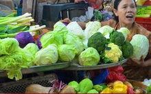 Giá rau Đà Lạt từ vườn ra chợ tăng đến 5 lần