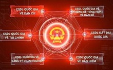 Thủ tướng chỉ đạo tháo gỡ các “điểm nghẽn” triển khai Đề án 06