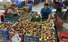 Măng cụt rớt giá hậu “cơn sốt” gỏi gà măng cụt xanh