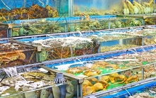 Ốc, tôm, cua, ghẹ đồng loạt đội giá