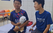 Vụ ngộ độc botulinum: Bất ngờ với kết quả xét nghiệm 15 mẫu bánh mì, chả lụa