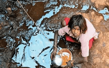 Khủng hoảng thiếu nước, người dân Ấn Độ phải trèo xuống giếng sâu lấy nước bẩn về dùng