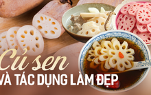 Loại củ lớn lên trong bùn, vẻ ngoài 'xấu xí' nhưng rất bổ dưỡng