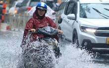 Cuối tuần mưa lớn, đường ngập, cây đổ ở TP HCM