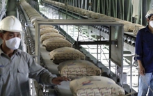 Thế khó của ngành xi măng