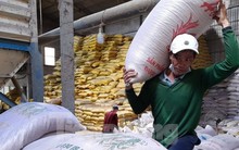 Việt Nam sẽ giảm xuất khẩu gạo vào năm 2030