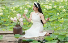 Ngắm cánh đồng sen đẹp hút hồn tại khuôn viên Học viện Nông nghiệp Việt Nam