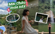 Đi Mộc Châu mùa này đâu chỉ có hái mận mà còn có loạt tọa độ thích mê để “đưa nhau đi trốn nóng”