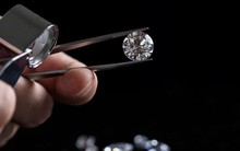 VNDiamond ETF bất ngờ trở thành quỹ có hiệu suất âm duy nhất từ đầu năm trong nhóm Dragon Capital, điều gì đang diễn ra?