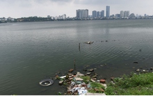 Rác thải bừa bãi ven Hồ Tây