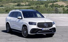 Sau Rolls-Royce Cullinan 40 tỷ đồng, thêm chiếc Mercedes Benz GLS tìm chủ sau 5 năm bị bỏ rơi tại cảng Hải Phòng