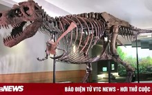 Người giàu sẵn sàng chi cả đống tiền cho 7 thứ kỳ lạ này