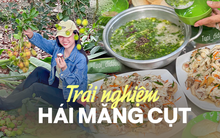 Địa chỉ các vườn măng cụt mở cửa đón khách tham quan, có nơi còn cho tự làm món gỏi gà măng cụt