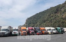 Gần 1.000 xe chở nông sản đang tồn đọng ở cửa khẩu Lạng Sơn