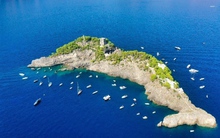 Cận cảnh đảo cá heo độc nhất thế giới, mỗi lần chỉ đón 12 du khách ghé thăm