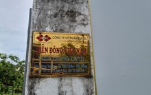 Công khai quyết định cưỡng chế thuế hàng loạt doanh nghiệp