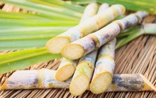 "Thiên thời, địa lợi", loạt doanh nghiệp mía đường báo lãi tăng mạnh quý đầu năm, xuất hiện cái tên "vượt đỉnh" lợi nhuận