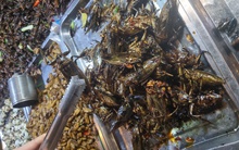 Sức hút mãnh liệt của thủ đô nước chủ nhà SEA Games: Từ trải nghiệm "dựng tóc gáy" cho tới vẻ đẹp độc đáo khó quên