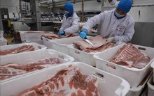 Xuất khẩu thịt và các sản phẩm từ thịt tăng trưởng 2 con số