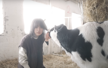 Chuỗi ngày ám ảnh của "Lý Tử Thất" Nhật Bản kiếm đến hơn 3 tỷ/năm