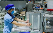 Thương mại điện tử đưa hàng Việt xuất ngoại