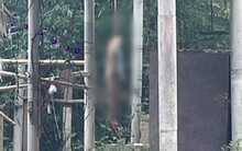 Nguyên Chi cục trưởng thi hành án tử vong trong tư thế treo cổ