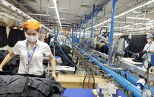 Thủ tướng yêu cầu có giải pháp hỗ trợ lao động mất việc