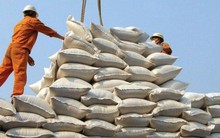 Hạt gạo Việt bội thu: Xuất khẩu 4 tháng đầu năm vượt 1,5 tỷ USD, tăng gấp rưỡi cùng kỳ 2022, mạnh nhất trong các nông sản chủ lực