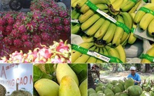 Xuất khẩu nông, lâm, thuỷ sản trong 5 tháng thu về hơn 20 tỷ USD