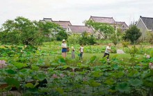 Bán nhà thành phố, đôi vợ chồng Trung Quốc về quê mua mảnh đất hoang 12.000m2 sống “tự cung tự cấp”: Tự do về cả vật chất lẫn tinh thần