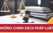 Những chính sách pháp luật có hiệu lực từ tháng 6/2023
