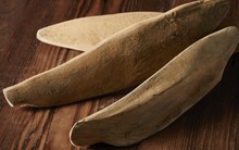 Cứng đơ như gỗ, chế biến nửa năm mới được, song nguyên liệu trường thọ có giá hơn 1 triệu đồng/kg này vẫn đắt khách