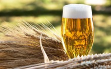 Công ty từng làm nên tên tuổi doanh nhân Đường “bia” báo lỗ hơn trăm tỷ trong 2 năm gần nhất