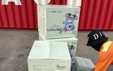 Hải quan Hải Phòng phát hiện lô hàng bỉm, tã giả nhãn hiệu Hàn Quốc