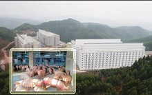 Đề xuất xây nhà cao tầng để nuôi lợn của Xuân Thiện Group và những câu hỏi về việc liệu có “lợi bất cập hại”