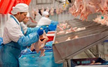 Công ty châu Âu tiếp cận 8 năm mà không bán được cho Trung Quốc dù chỉ 1 chiếc đùi gà: Bắc Kinh làm khó châu Âu?