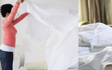 Vì sao không nên gấp chăn ngay sau khi ngủ dậy ?