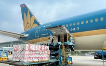 Gần 100 tấn vải thiều xuất ngoại chỉ trong 5 ngày