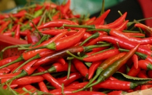 Loại quả làm gia vị, biết dùng là thuốc quý, dưỡng dạ dày và tốt xương khớp