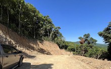 Thi công cao tốc, tự ý ủi luôn rừng: Chủ đầu tư nói 'bất ngờ' với vi phạm của nhà thầu