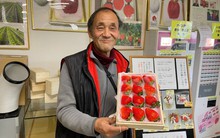 Thứ quả Việt Nam bán đầy đường được Nhật Bản ‘phù phép’ thành ‘kim cương đỏ’, hơn 8 triệu đồng/quả vẫn đầy người mua